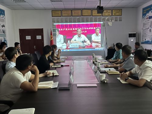 【河海水文】水發(fā)水控集團(tuán)黨委委員、紀(jì)委書記王高升到河海公司全面從嚴(yán)治黨、黨風(fēng)廉政建設(shè)專題調(diào)研 (1).jpg